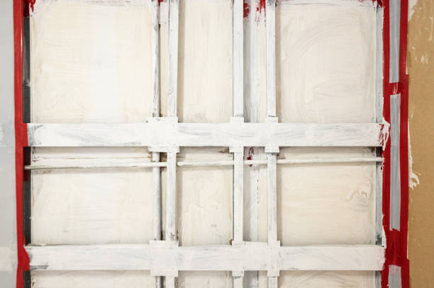 Best Mold Remediation for Rental Properties  in Shortsville, NY