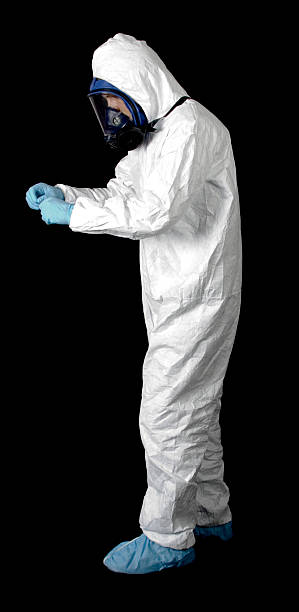  Shortsville, NY Mold Removal Pros